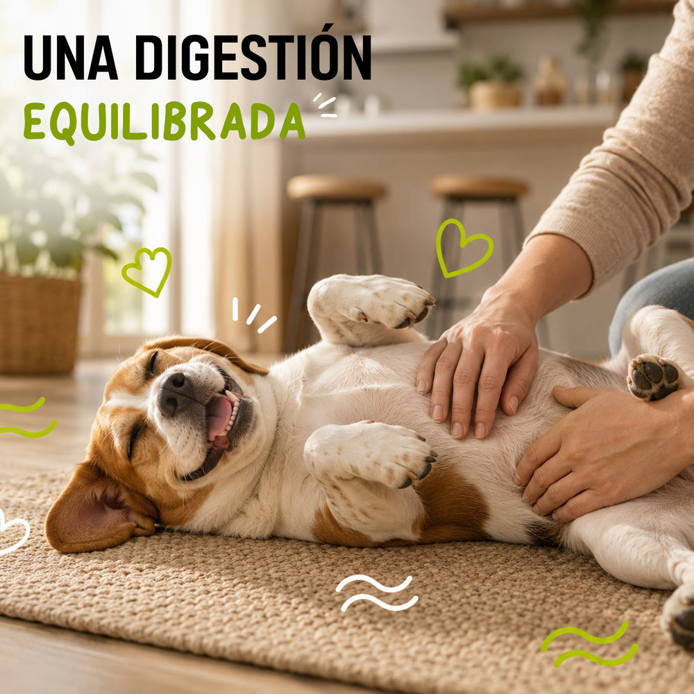 Nutrición Pura Para una Vida Llena de Aventuras