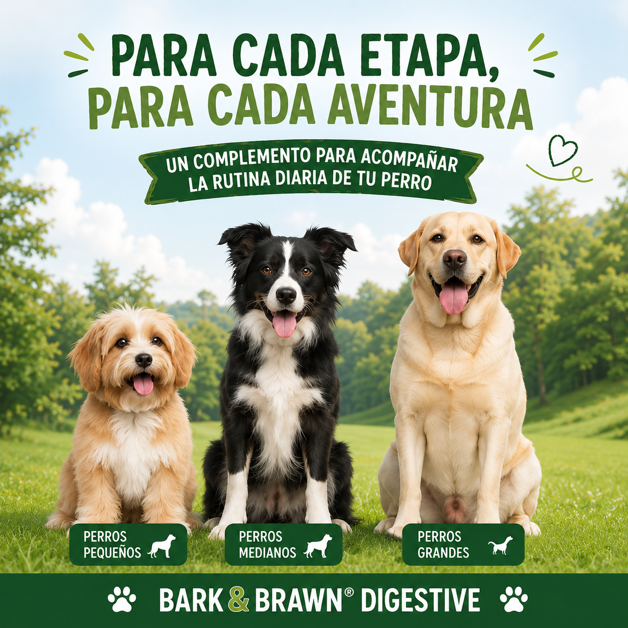Bark & Brawn Digestive – Enzimas + Probióticos